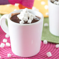 Mexican Hot Chocolate Pudding-7